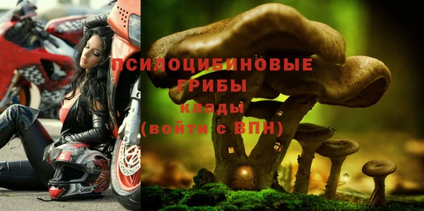 крисы Алзамай