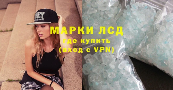 крисы Алзамай