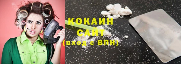 крисы Алзамай