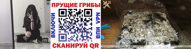 Галлюциногенные грибы прущие грибы  что такое наркотик  Туринск 