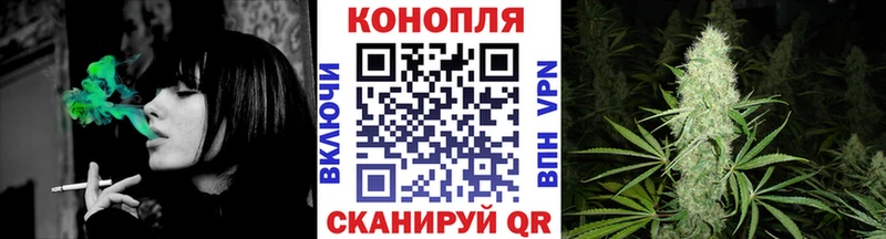 Бошки марихуана THC 21%  купить   Туринск 